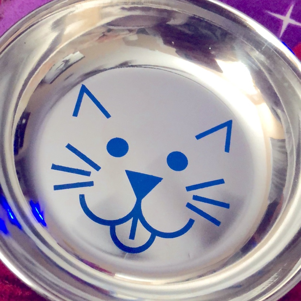 Cat/ Dog Food/ Feeding Bowl